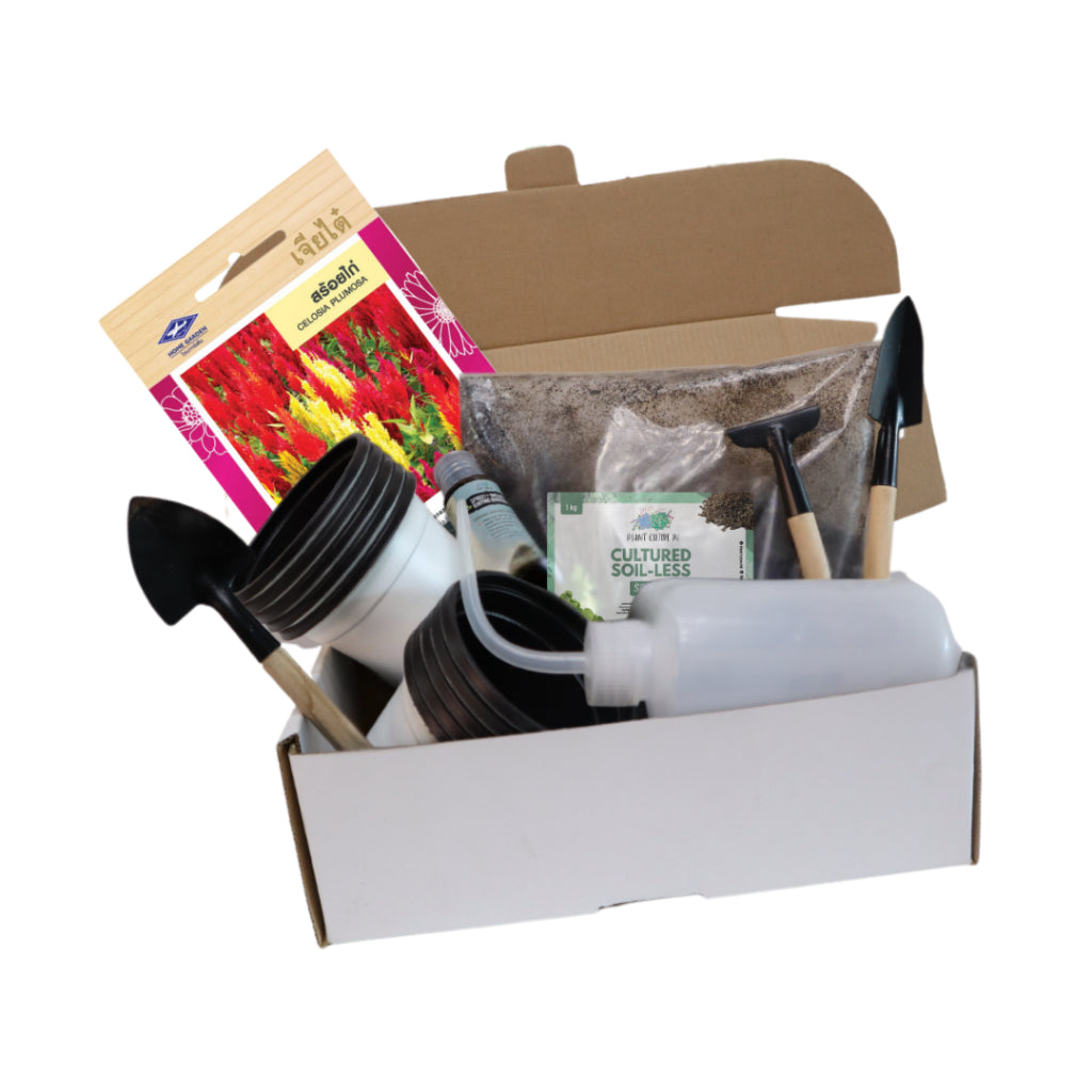 Plant Culture PH Flower Seed Starter Kit