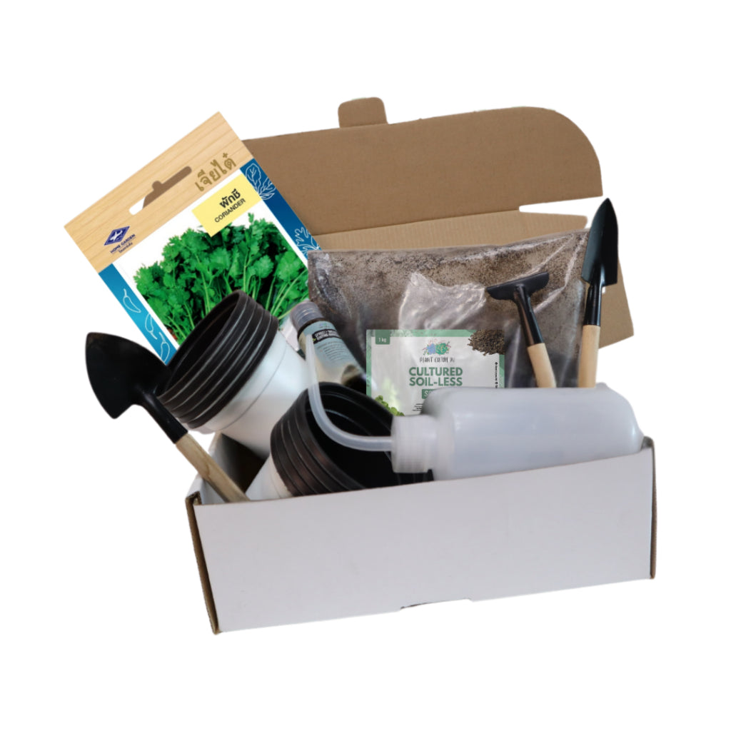 Plant Culture PH Herb Seed Starter Kit