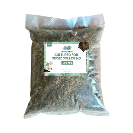 Cultured Orchid Potting Soil Mix| Ready to Use Soil Mix