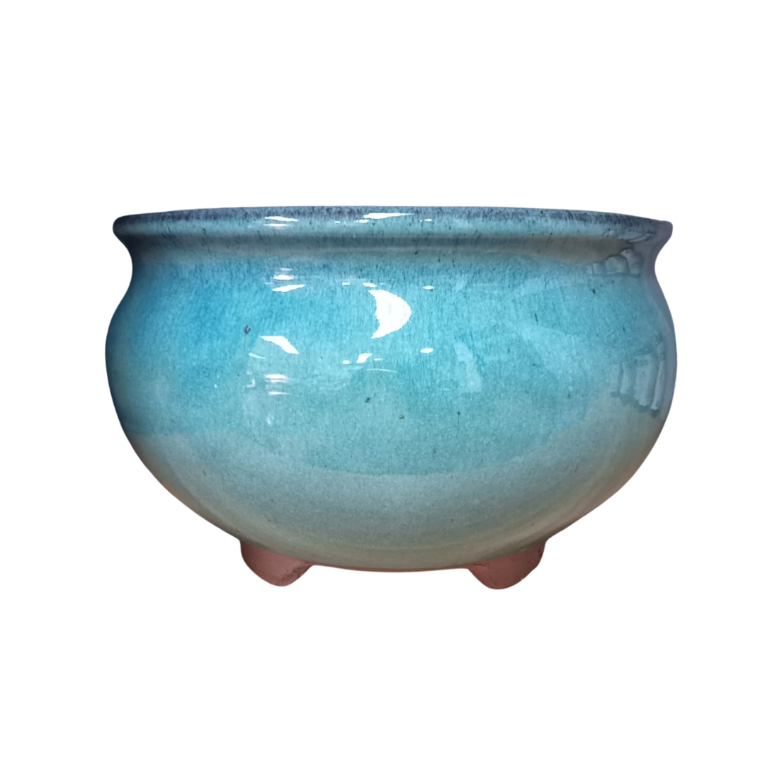 Elegant Decorative Pots