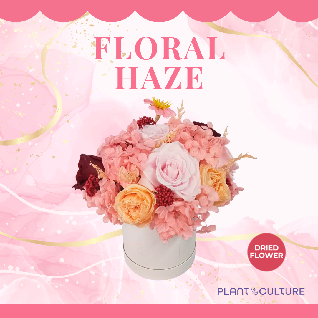 Floral Haze Dried Flower Arrangement