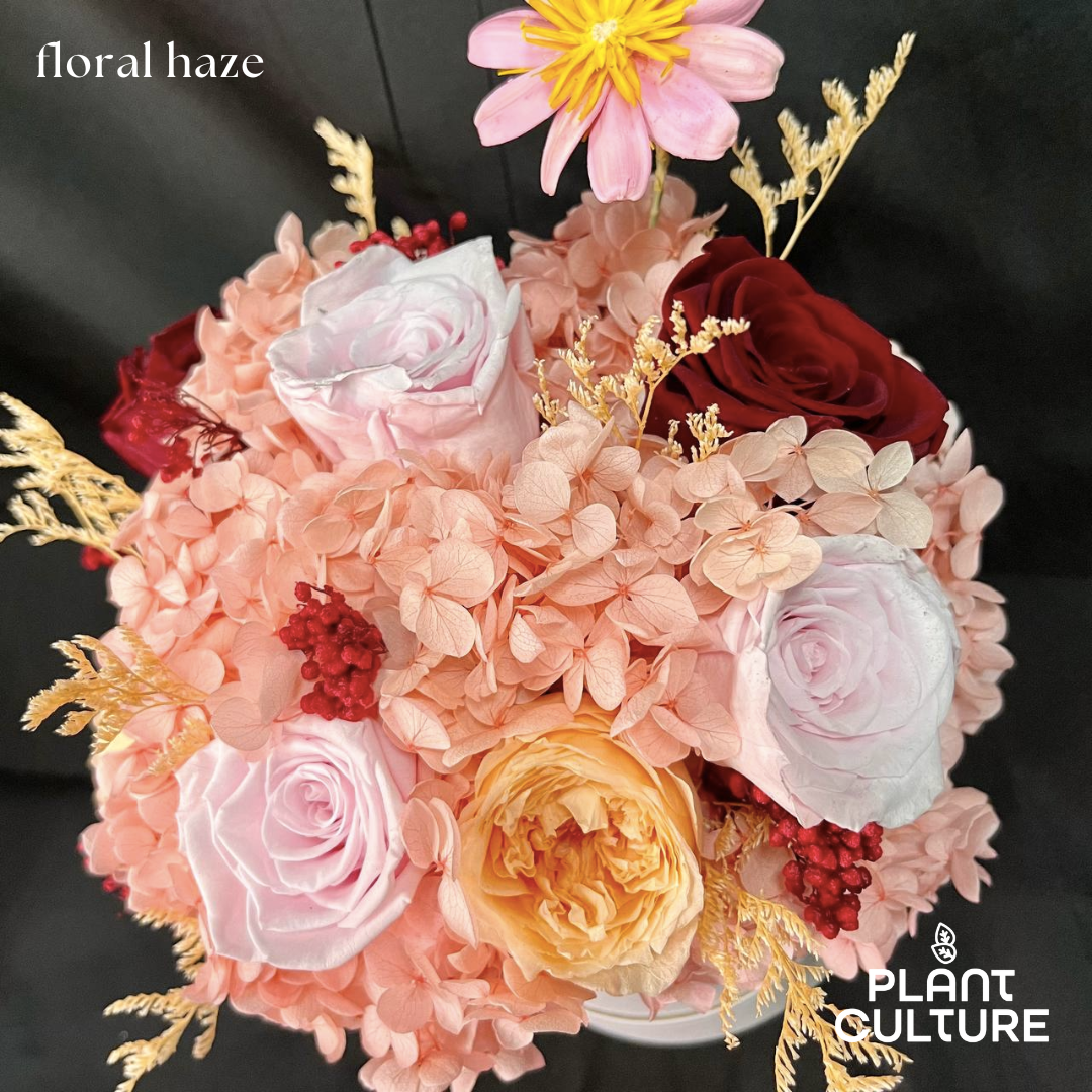 Floral Haze Dried Flower Arrangement