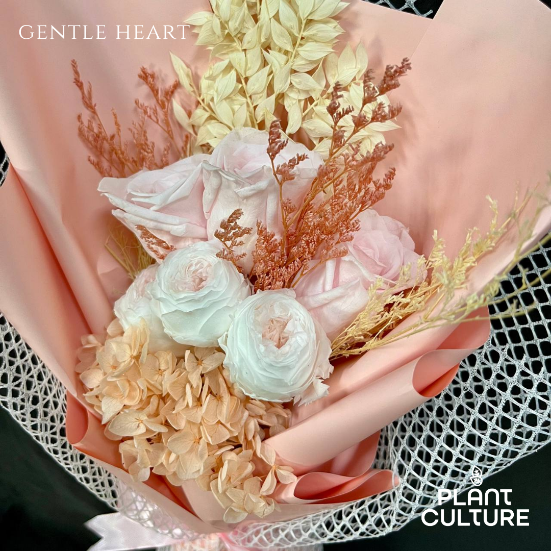Dried Preserved Flower | Gentle Heart