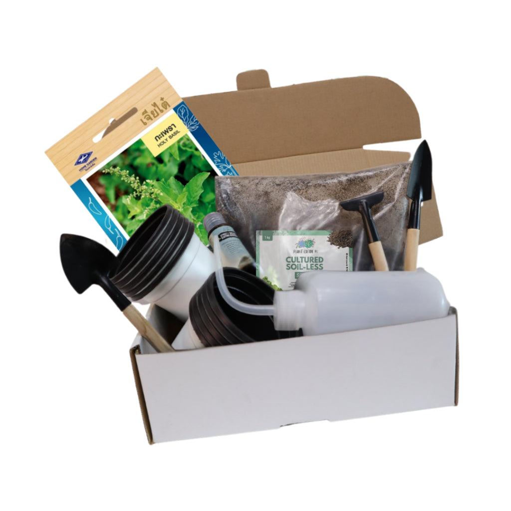 Plant Culture PH Herb Seed Starter Kit