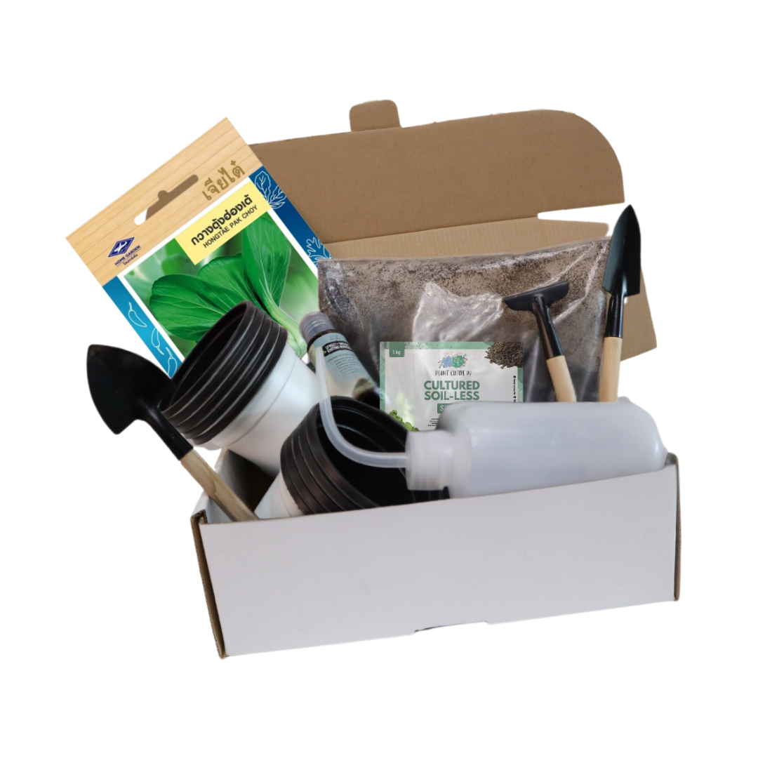 Plant Culture PH Vegetable Seed Starter Kit