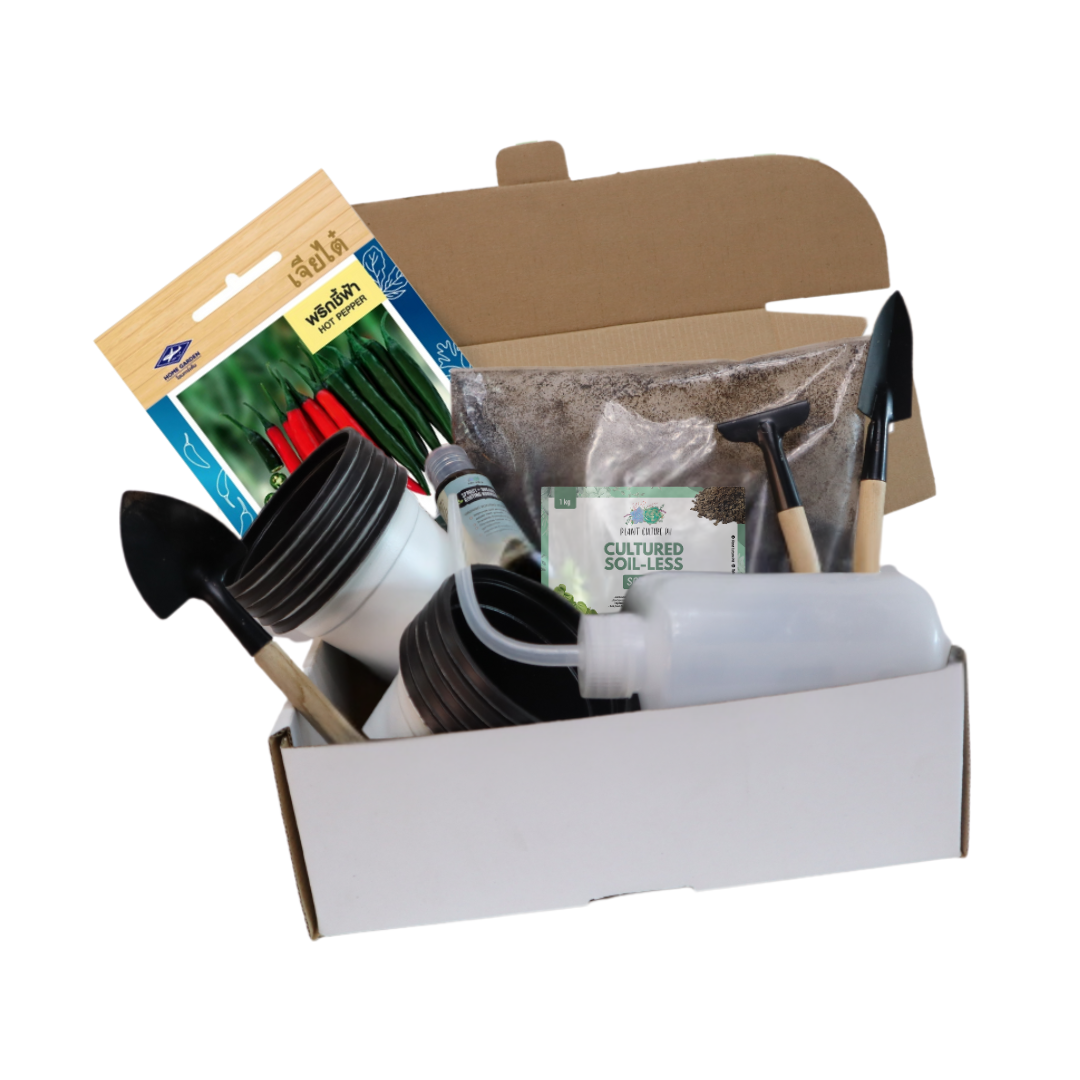 Plant Culture PH Vegetable Seed Starter Kit