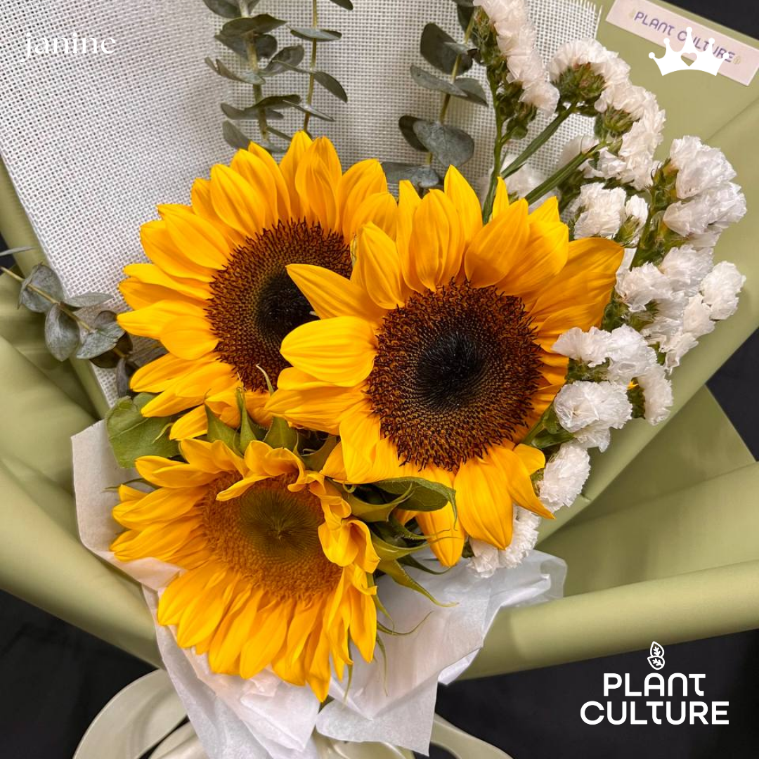 Janine Fresh Sunflower Bouquet Trio