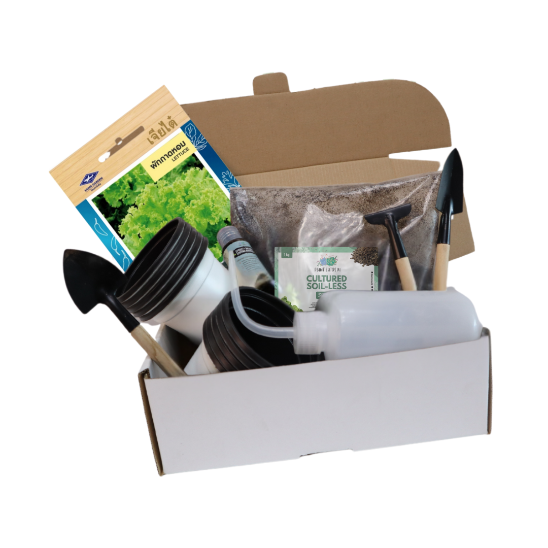 Plant Culture PH Vegetable Seed Starter Kit