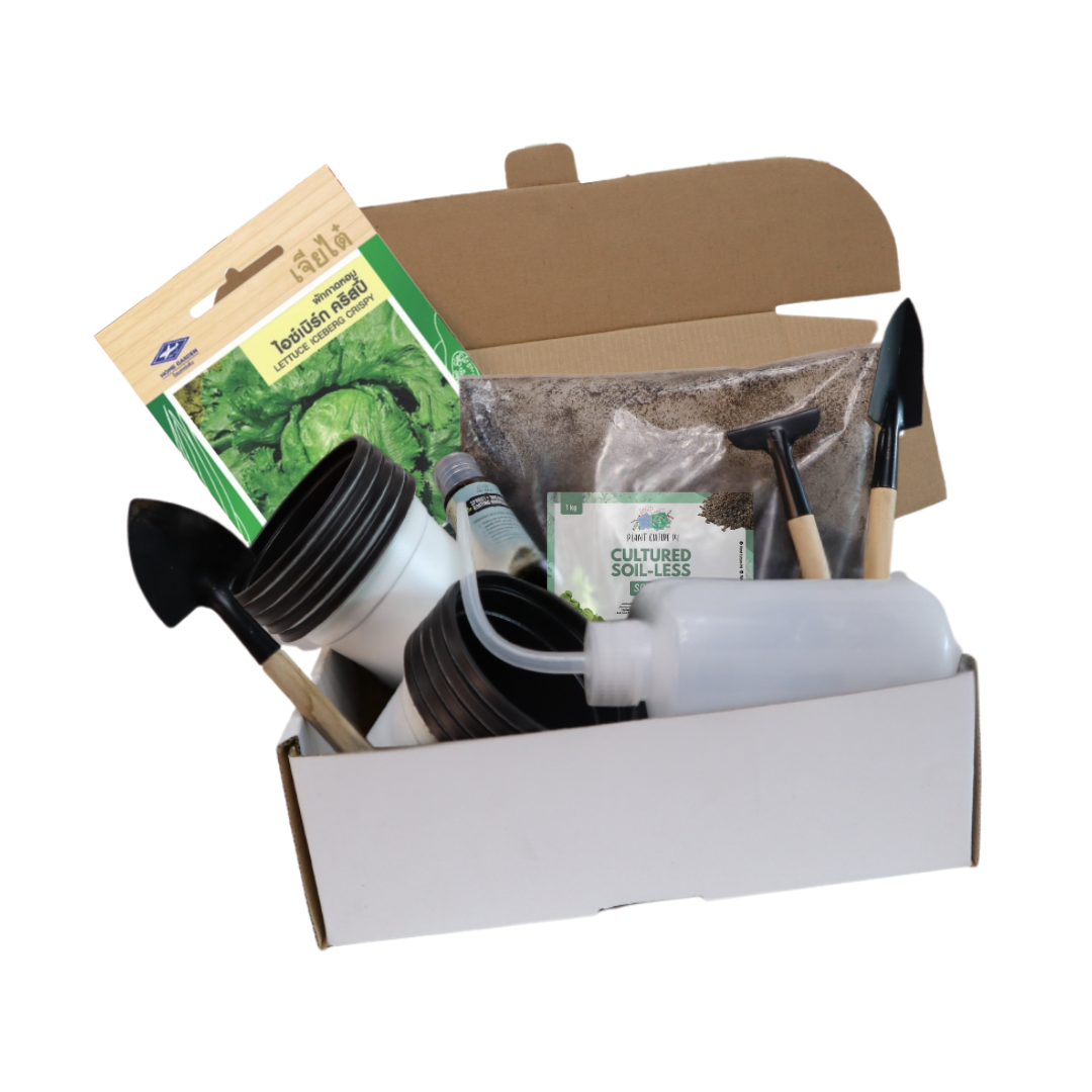 Plant Culture PH Vegetable Seed Starter Kit