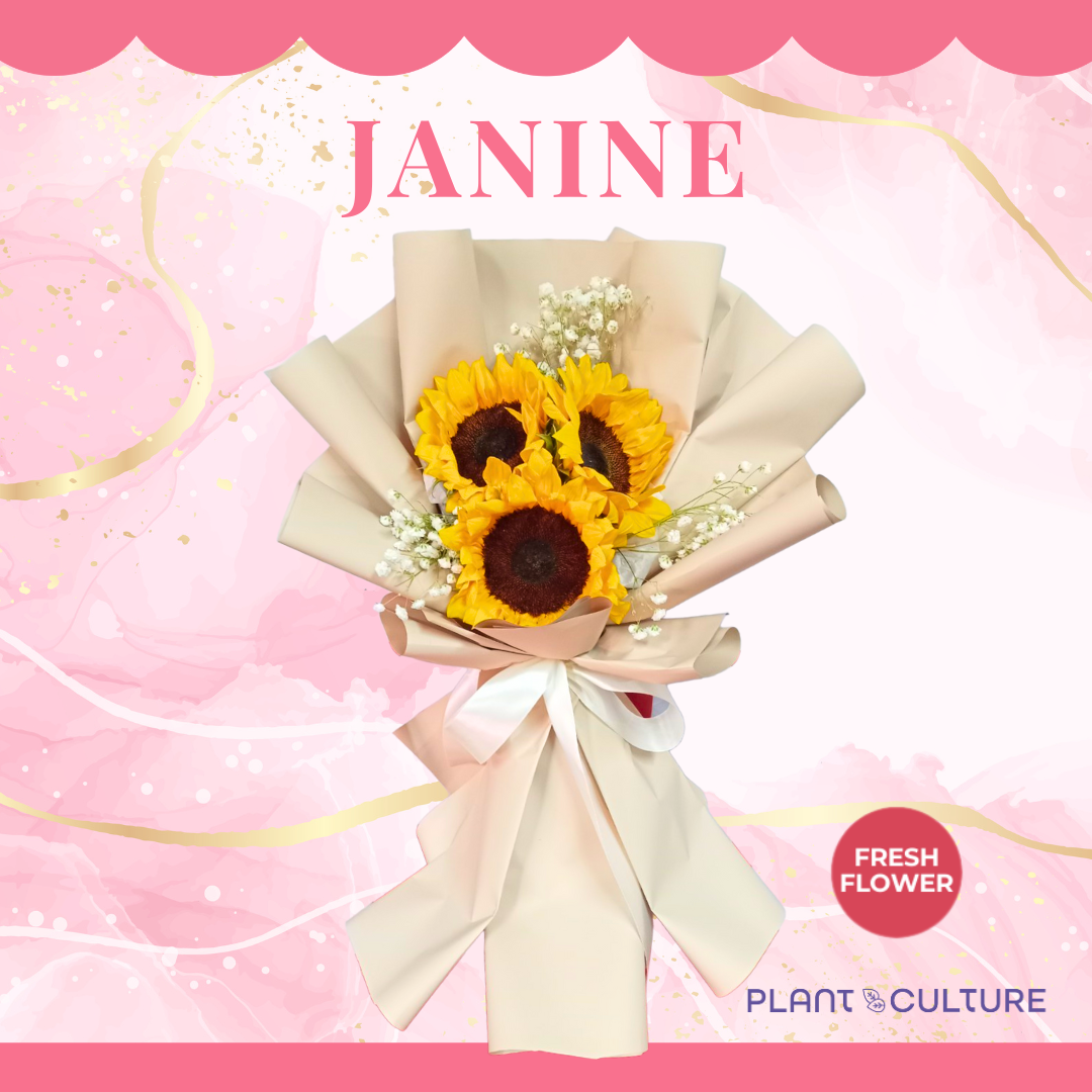 Janine Fresh Sunflower Bouquet Trio