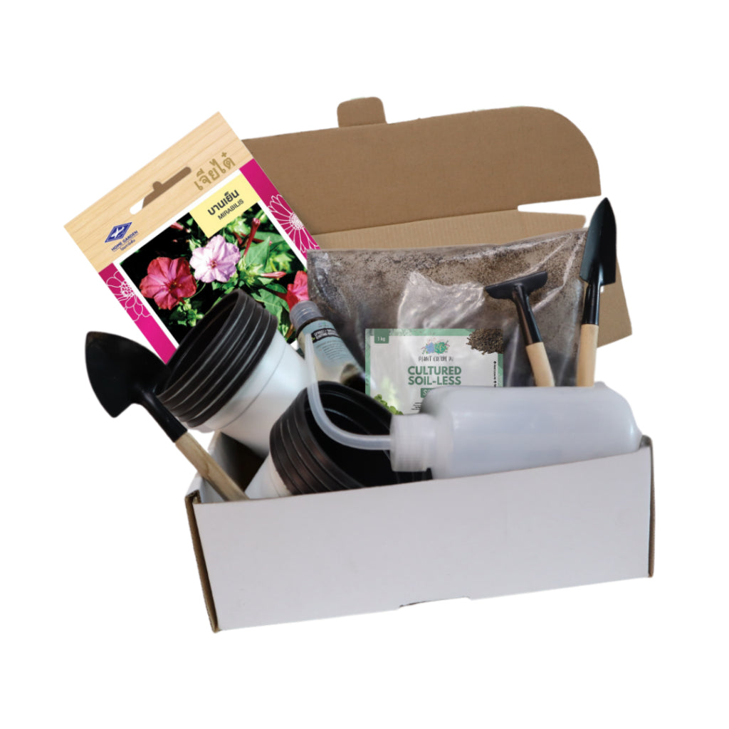 Plant Culture PH Flower Seed Starter Kit