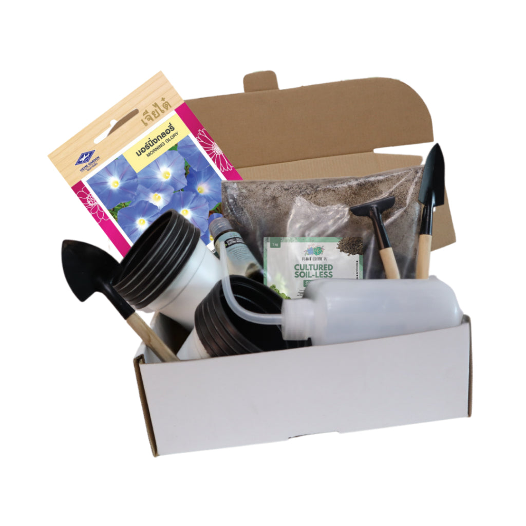 Plant Culture PH Flower Seed Starter Kit