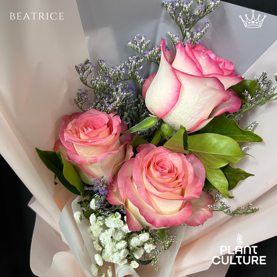 Beatrice Fresh Imported Pink Rose Bouquet Trio
