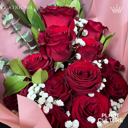 Catriona One Dozen Fresh Imported Red Roses Bouquet