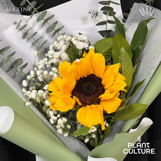 Maxine Fresh Sunflower Bouquet Single Stem