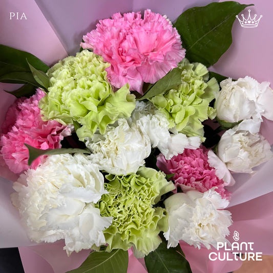 Pia Fresh Carnation Mixed Imported Flowers Bouquet