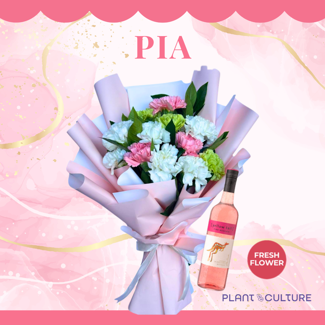 Pia Fresh Carnation Mixed Imported Flowers Bouquet