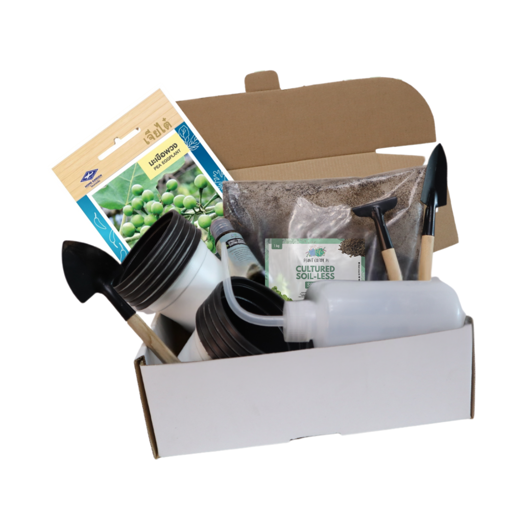 Plant Culture PH Vegetable Seed Starter Kit