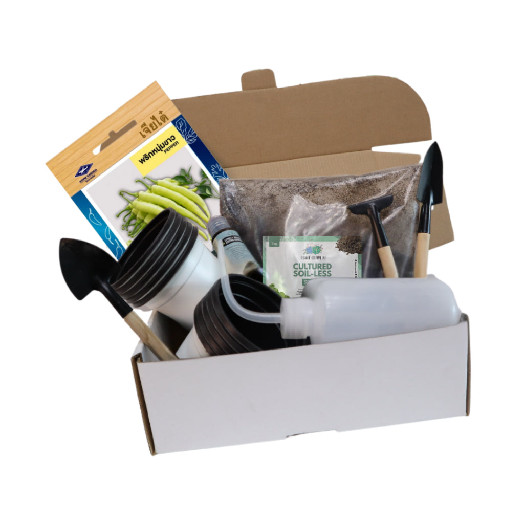 Plant Culture PH Vegetable Seed Starter Kit