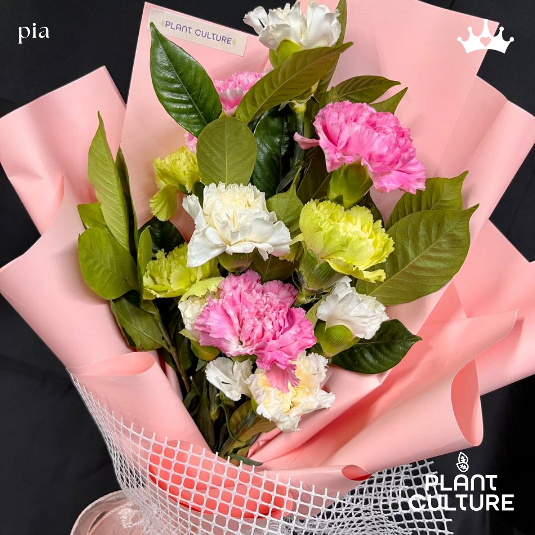 Pia Fresh Carnation Mixed Imported Flowers Bouquet