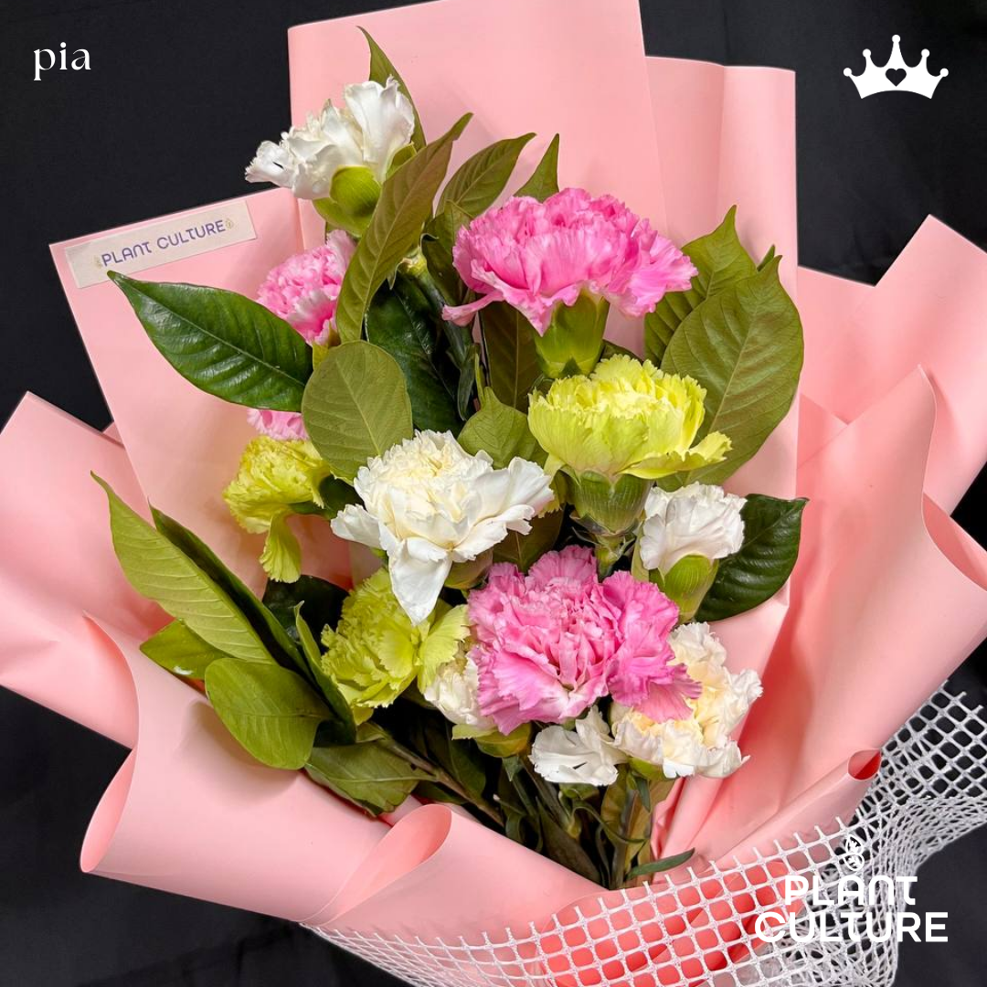 Pia Fresh Carnation Mixed Imported Flowers Bouquet