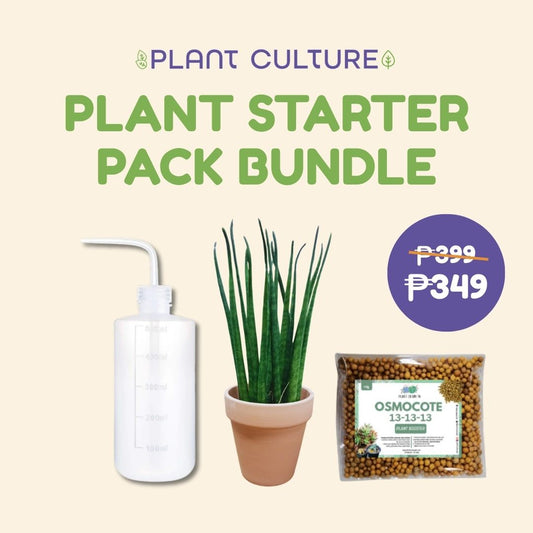 Plant Starter Pack Bundle House Plants II  Squeeze Bottle, Osmocote , Terracotta Pots