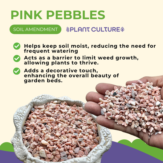 Premium Pink Pebbles by Plant Culture PH