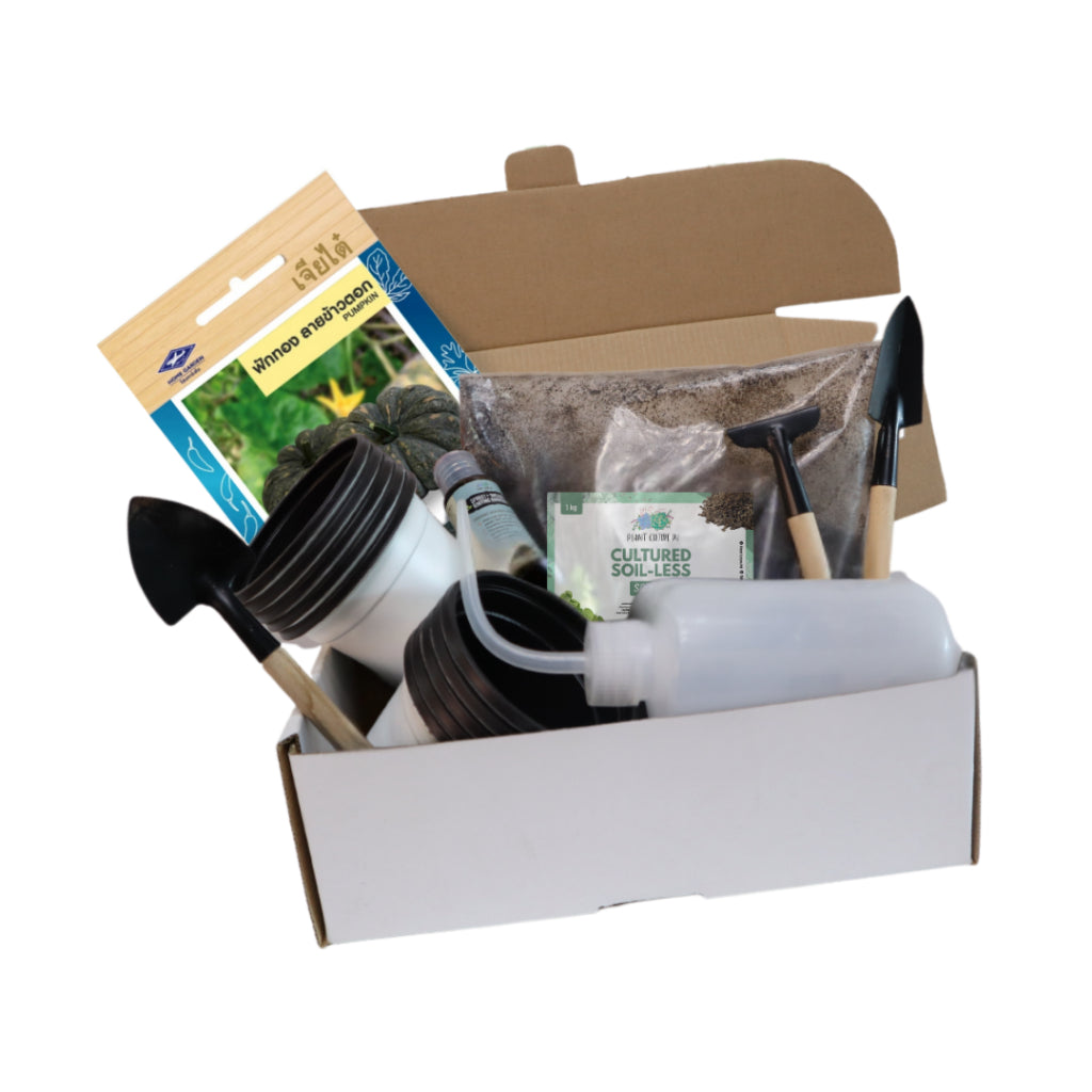 Plant Culture PH Vegetable Seed Starter Kit