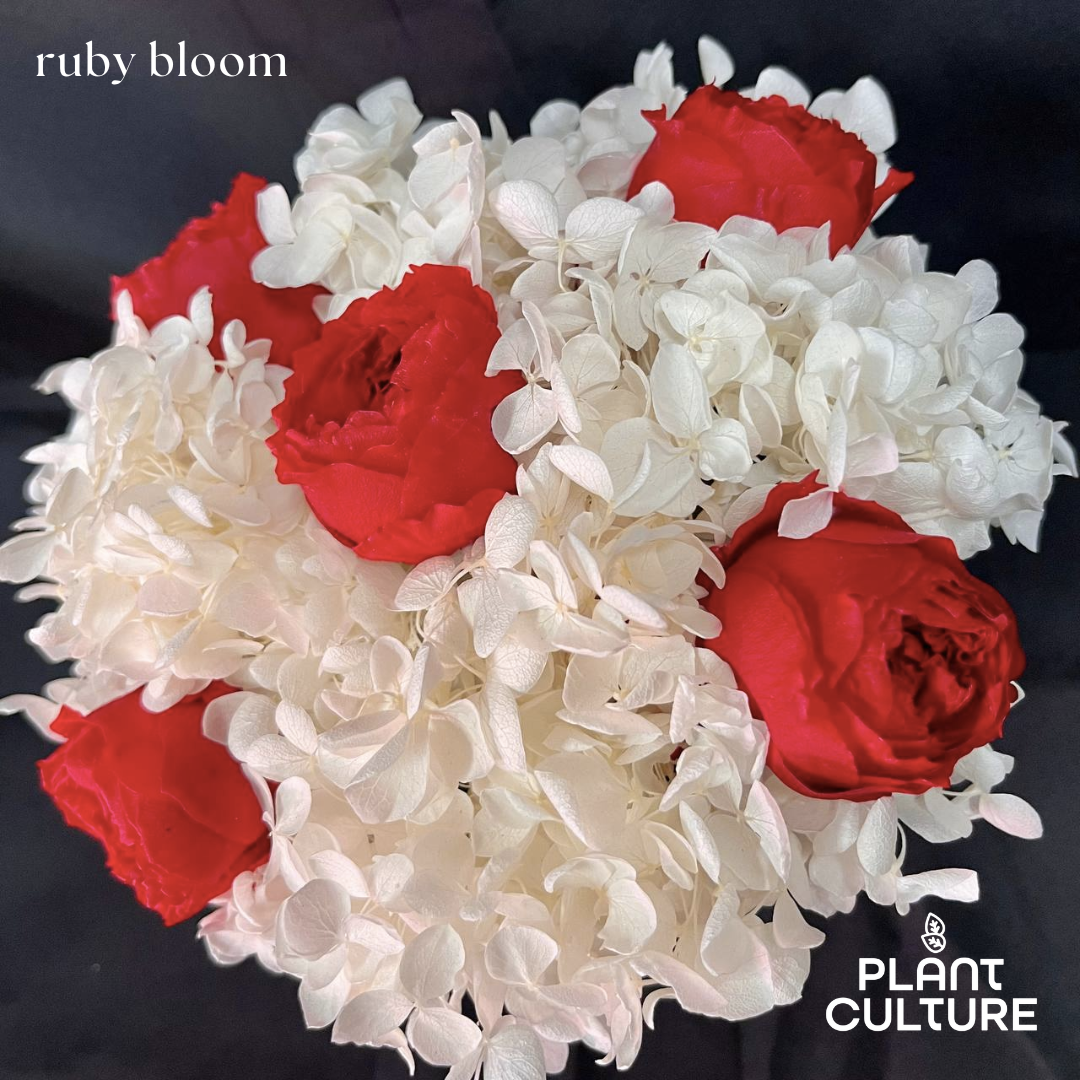 Ruby Blossom Dried Flower Arrangement
