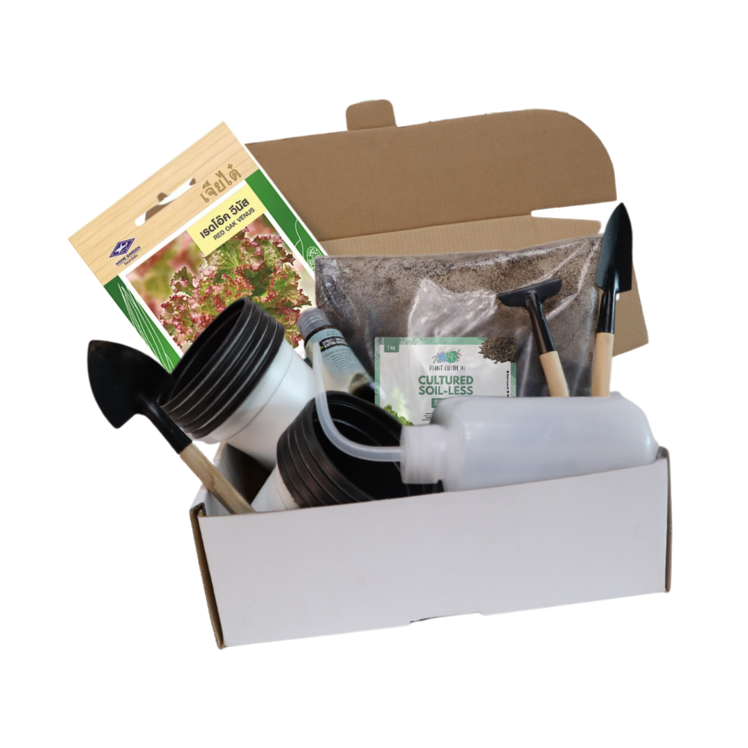 Plant Culture PH Vegetable Seed Starter Kit