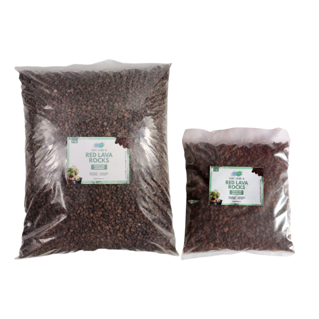 Scoria Red Lava Rocks by Plant Culture PH