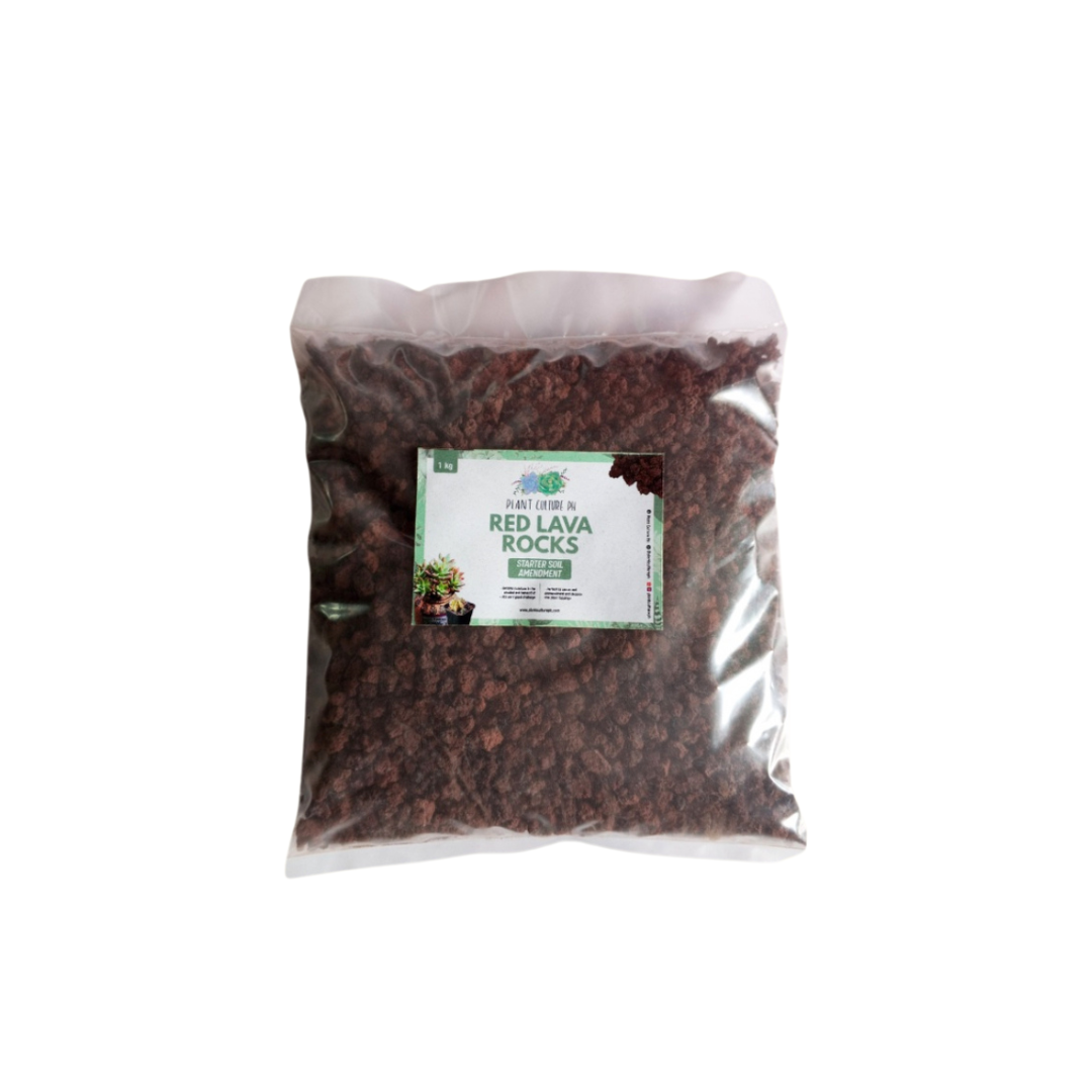 Scoria Red Lava Rocks by Plant Culture PH