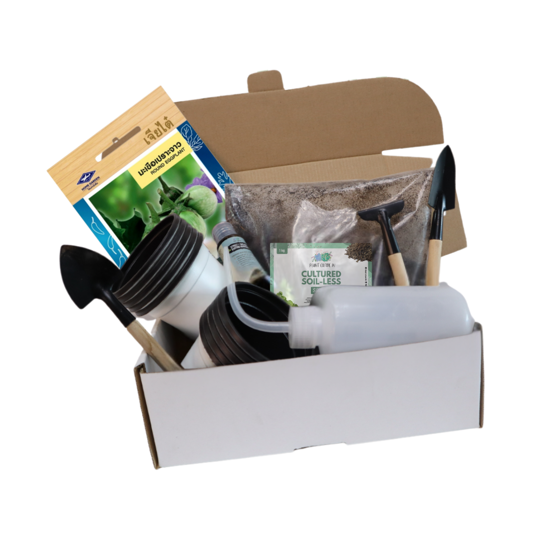 Plant Culture PH Vegetable Seed Starter Kit