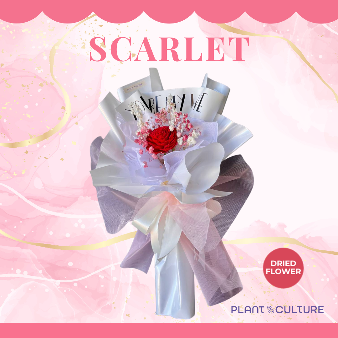 Scarlet Preserved Dried Flower Arrangement