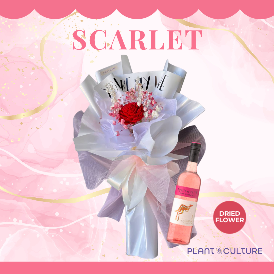 Scarlet Preserved Dried Flower Arrangement