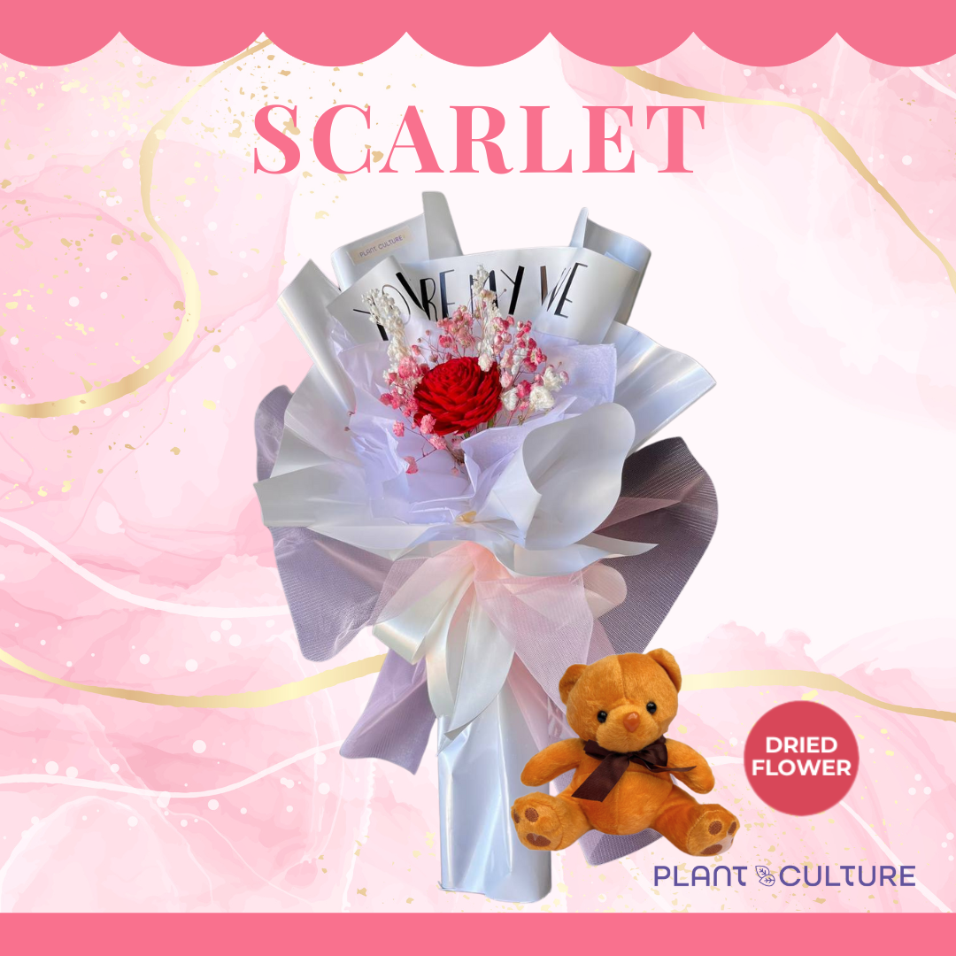 Scarlet Preserved Dried Flower Arrangement