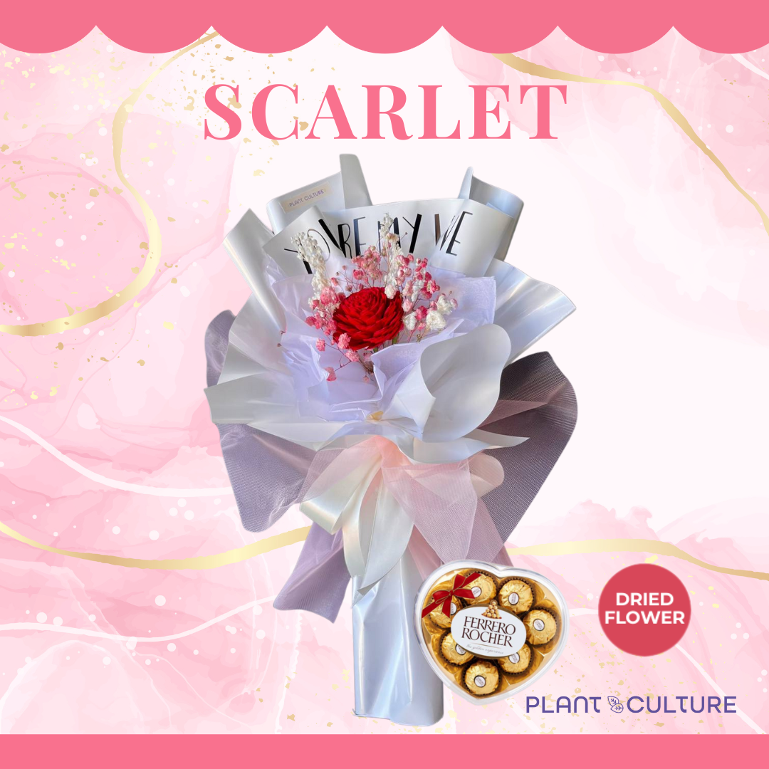 Scarlet Preserved Dried Flower Arrangement