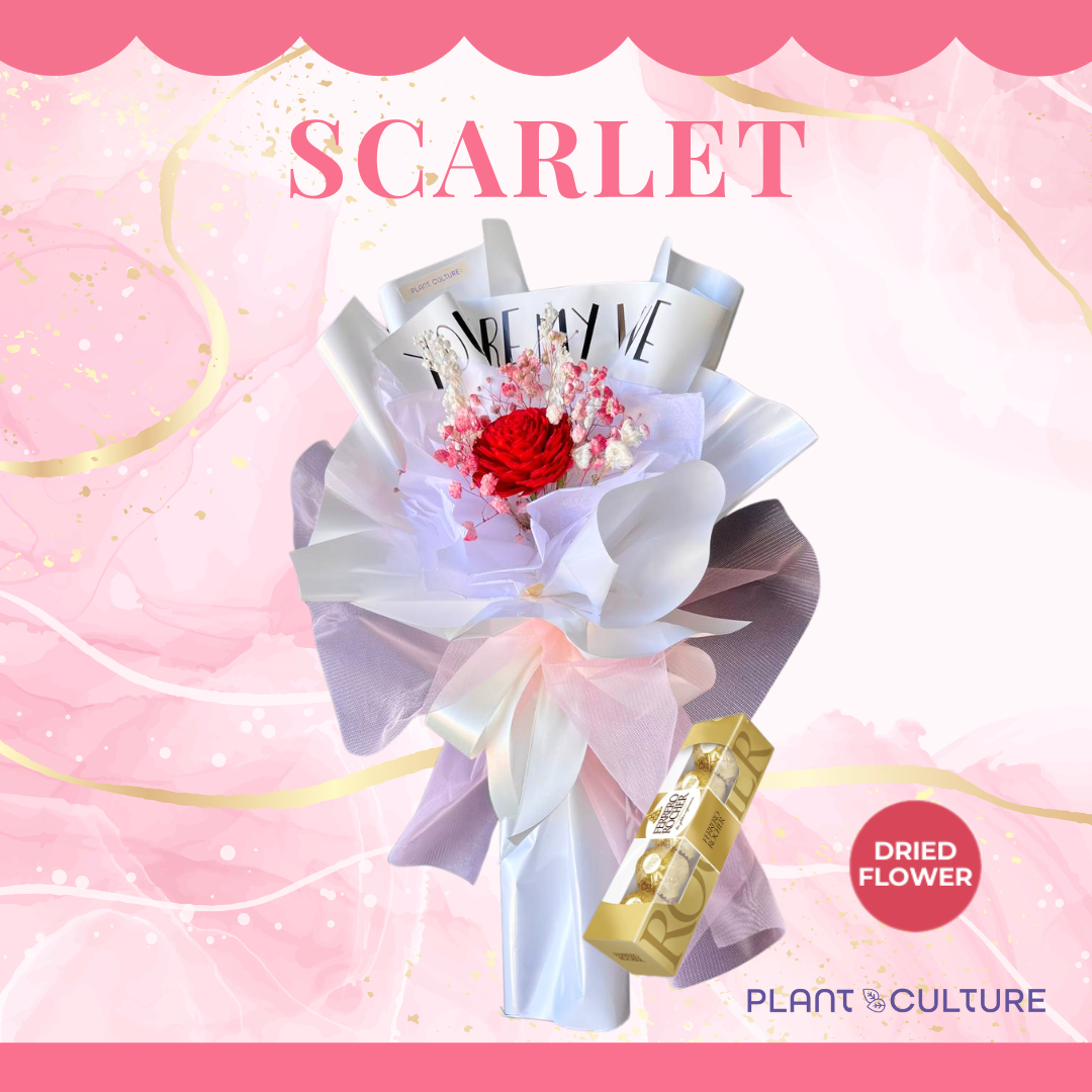 Scarlet Preserved Dried Flower Arrangement