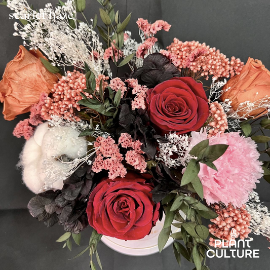 Scarlet Haze Dried Flower Arrangement