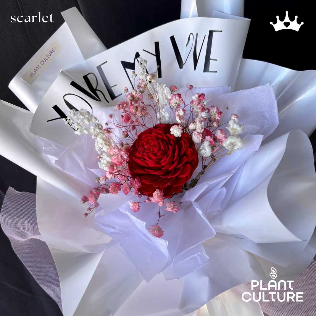 Scarlet Preserved Dried Flower Arrangement