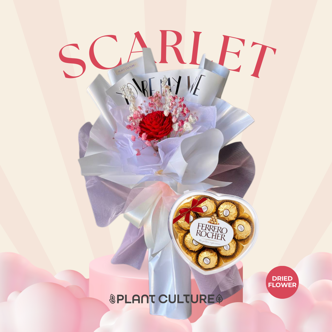 Scarlet Preserved Dried Flower Arrangement