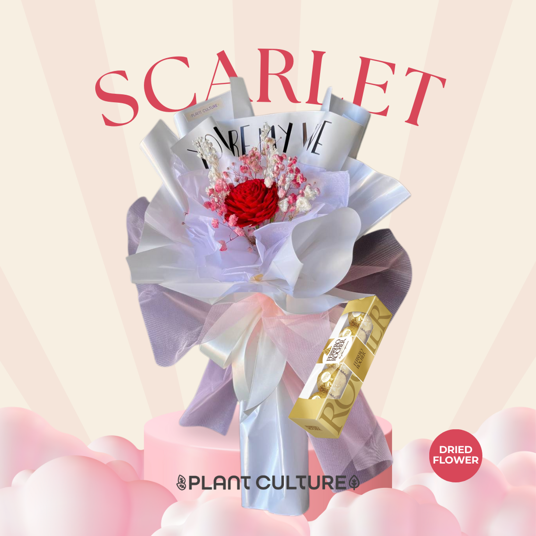 Scarlet Preserved Dried Flower Arrangement