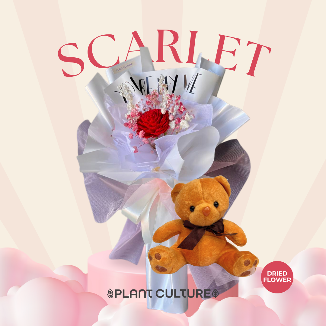 Scarlet Preserved Dried Flower Arrangement