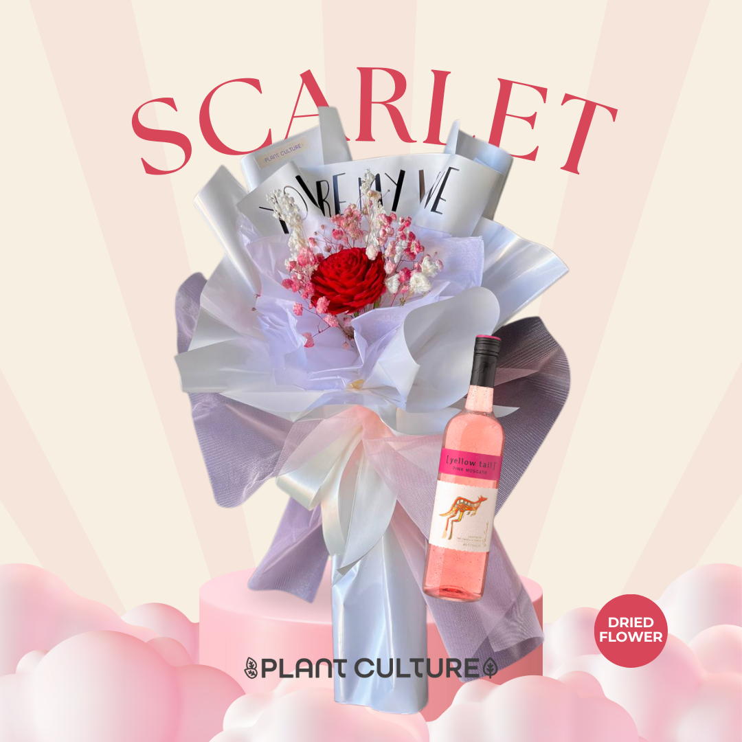 Scarlet Preserved Dried Flower Arrangement