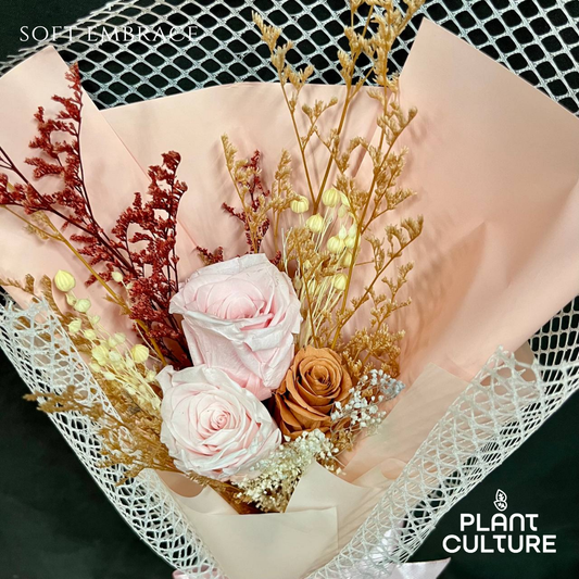 Mother's Day Dried Preserved Flower | Soft Embrace