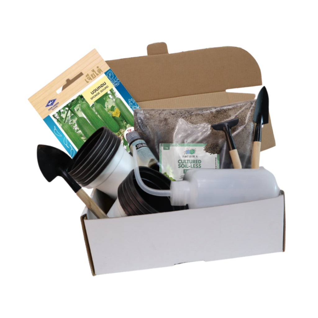 Plant Culture PH Vegetable Seed Starter Kit