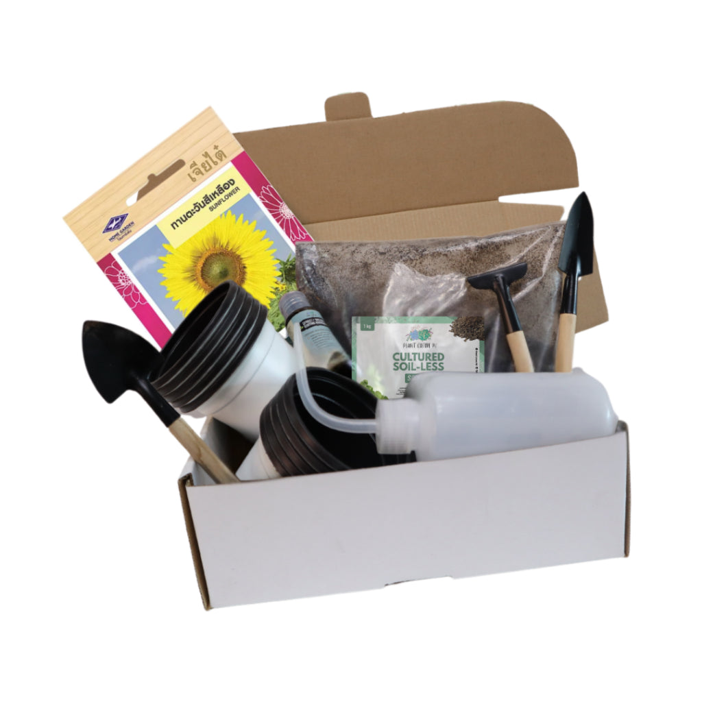 Plant Culture PH Flower Seed Starter Kit