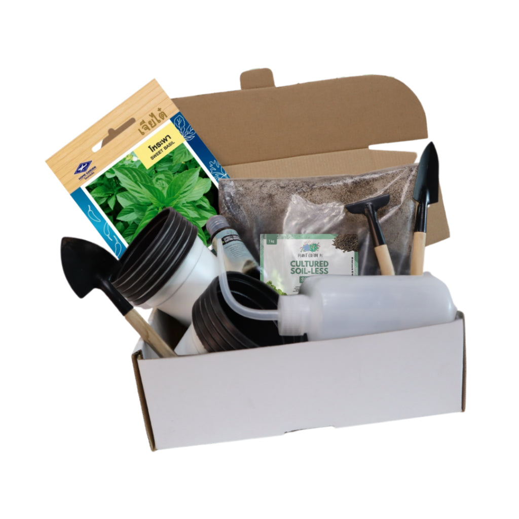 Plant Culture PH Herb Seed Starter Kit