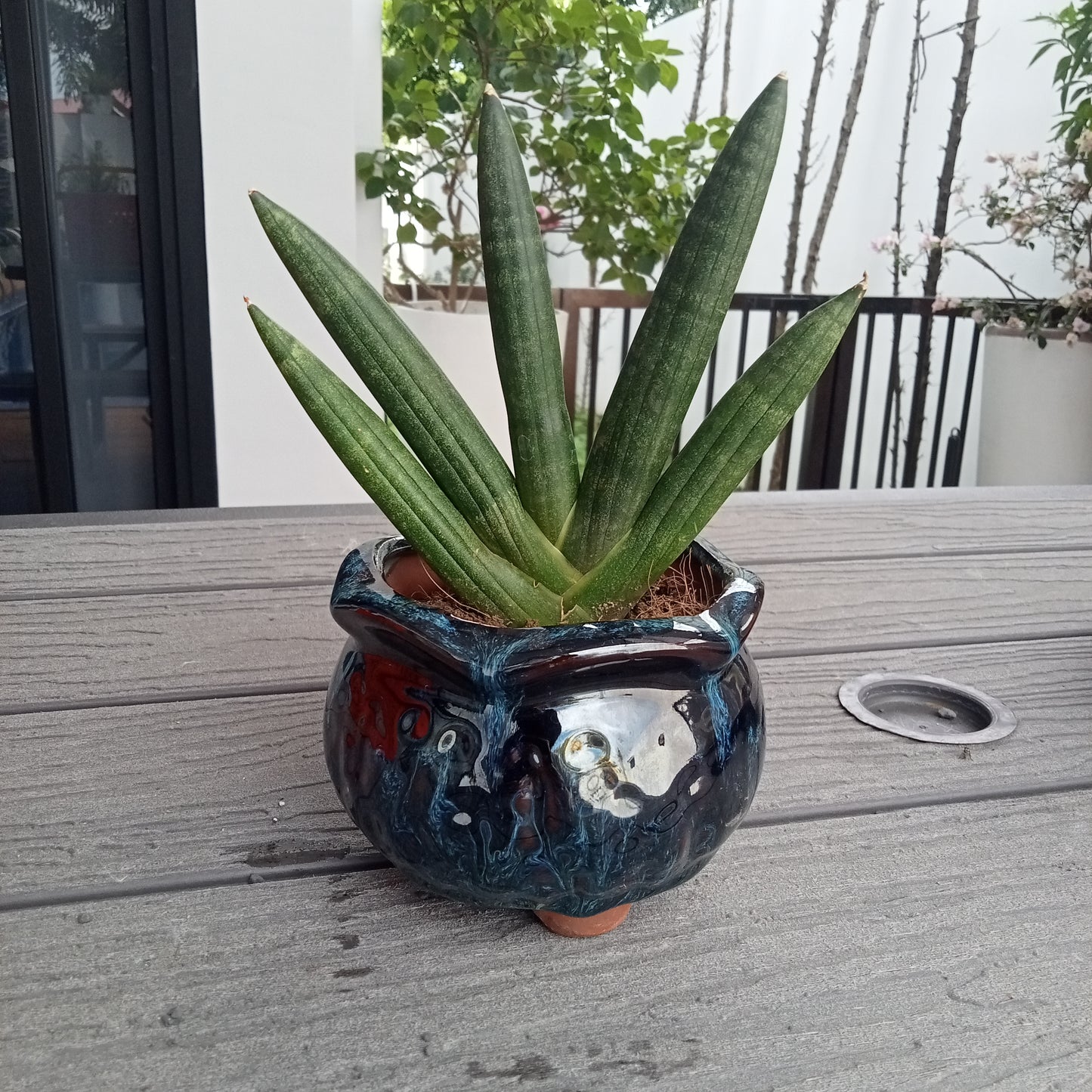 Vintage Style Pots