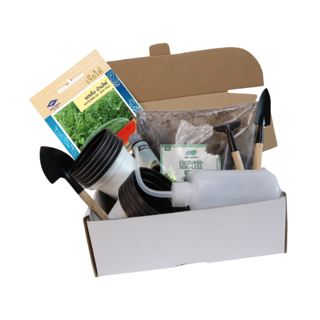 Plant Culture PH Fruit Seed Starter Kit